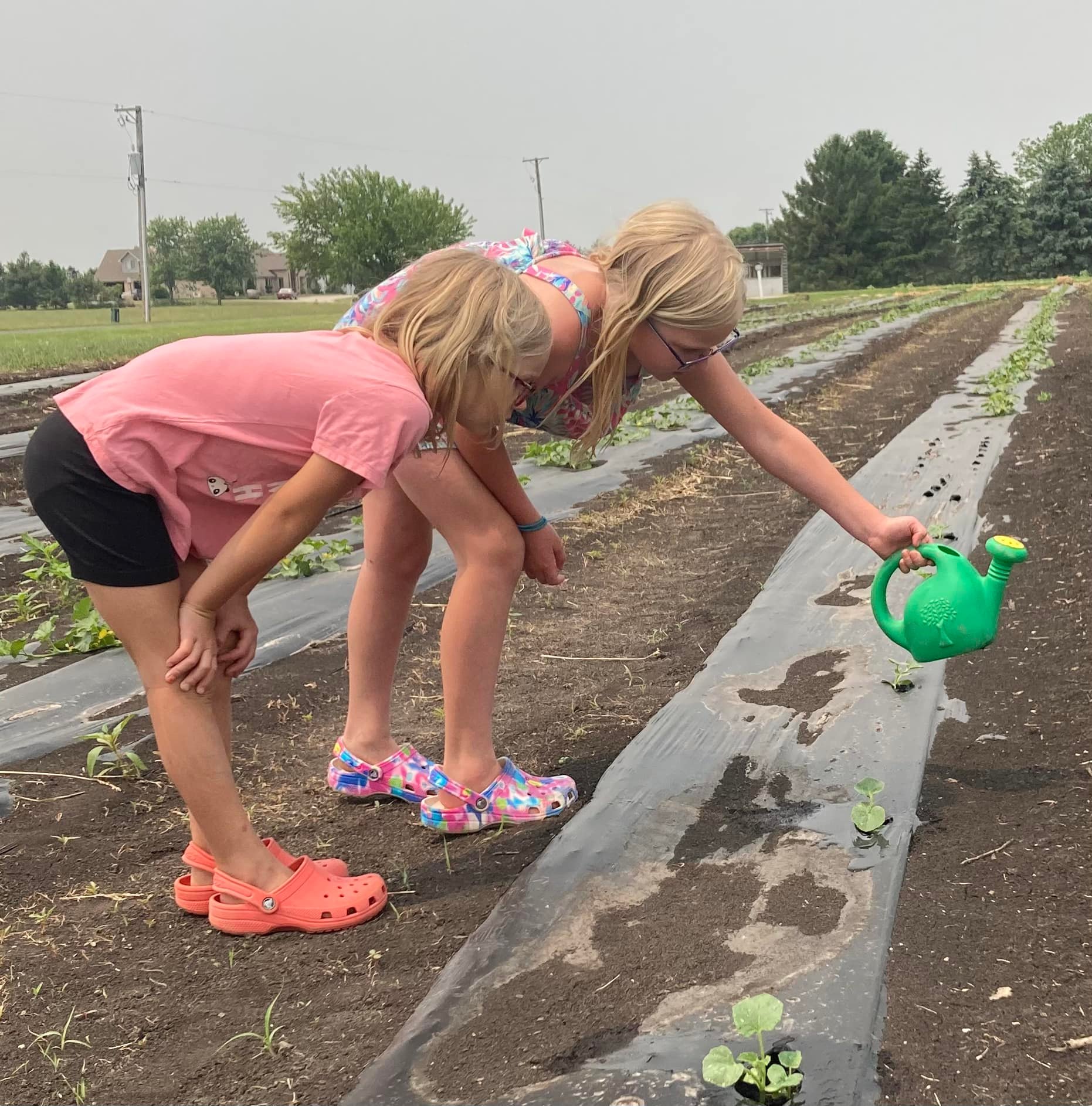 Neighbors and friends gathering at Stoub Family Farms