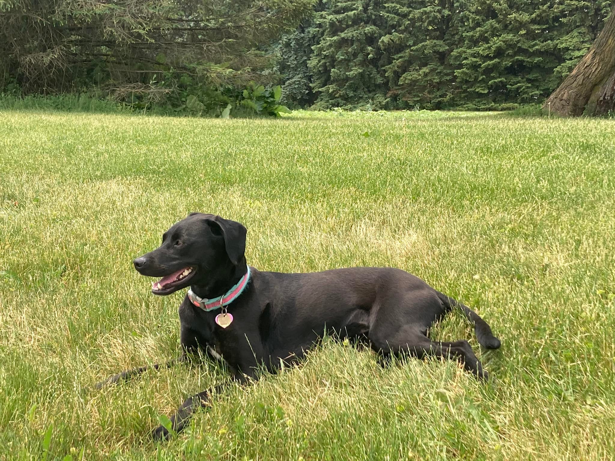 Community gathering at Stoub Family Farms in Peotone, IL