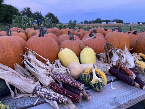 Winter Squash