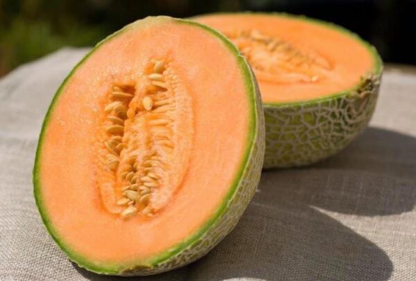 Cantaloupe