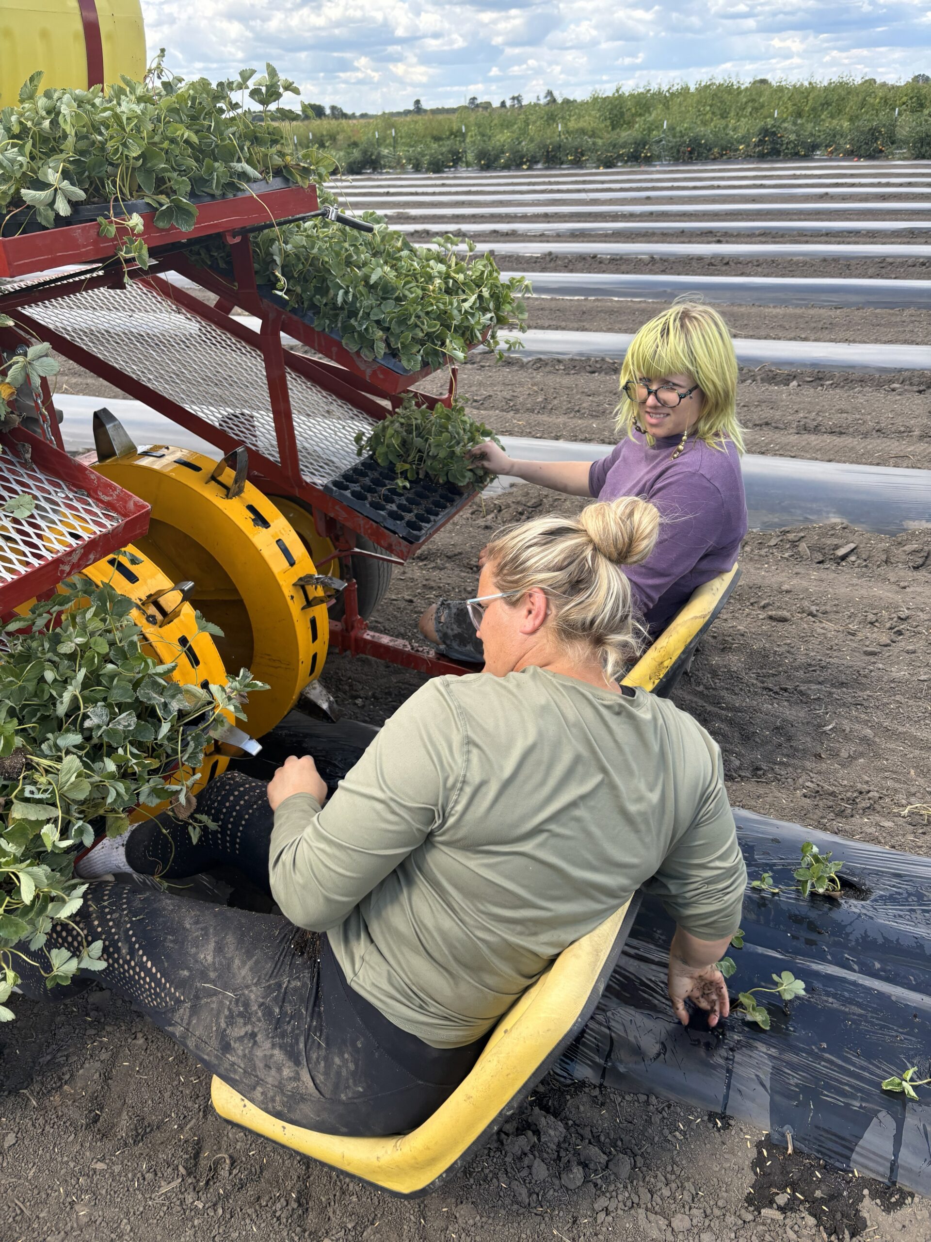 Fresh seasonal produce harvest at Stoub Family Farms