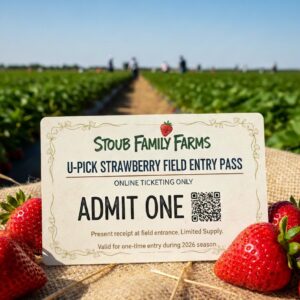 Field Entry Information